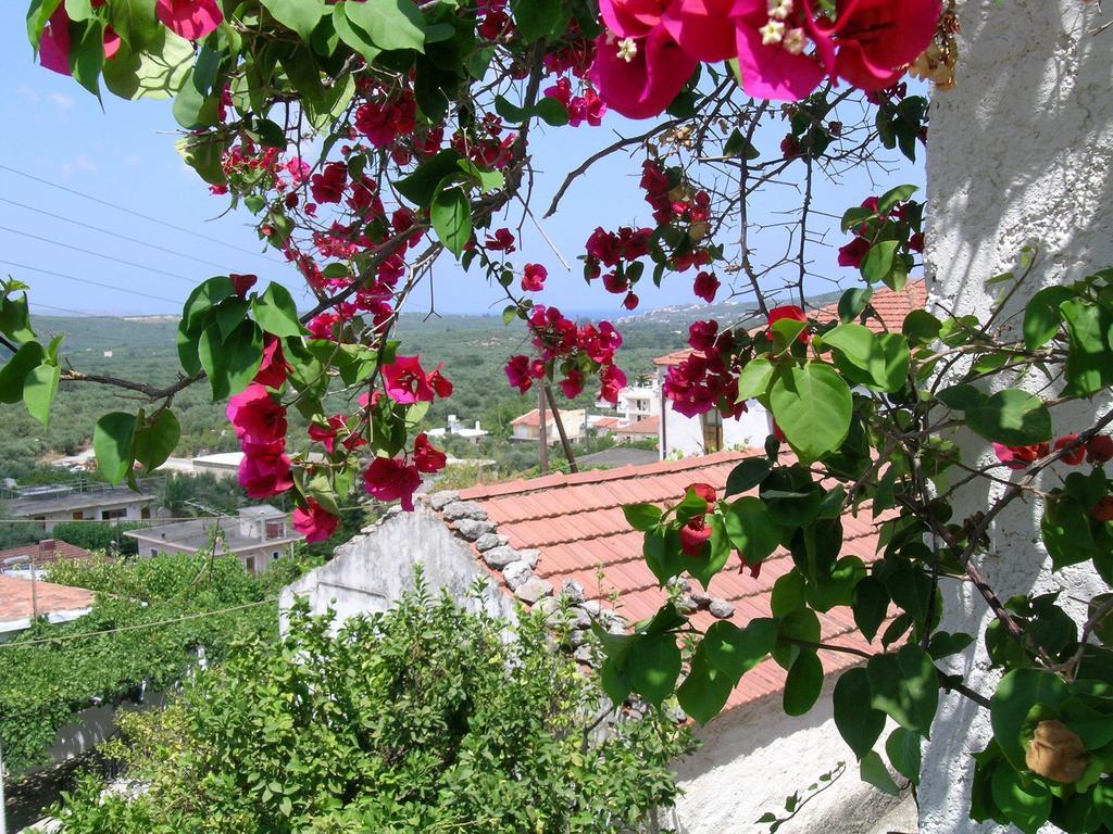Fenareti Village House Makhairoí Exteriér fotografie